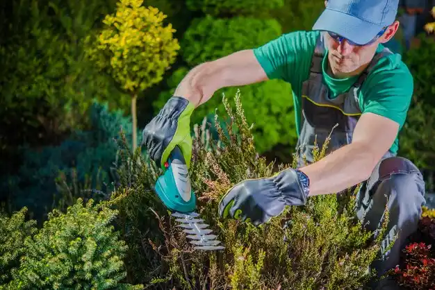 landscaping services Zachary